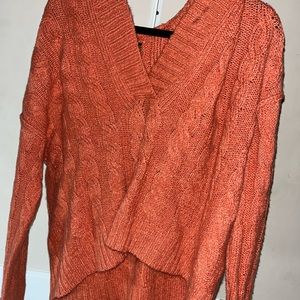 American Eagle Hooded Sweater